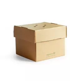Premium Burger Box 122x122x102mm carton Kraft brun Compostable
